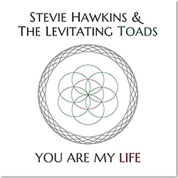 Stevie Hawkins and the Levitating Toads